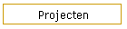 Projecten